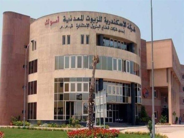 بتروسيف تفوز بالمناقصة الخاصة بمراجعة نظام الحماية من الصواعق والأرضي لشركة الإسكندرية للزيوت المعدنية (أموك)