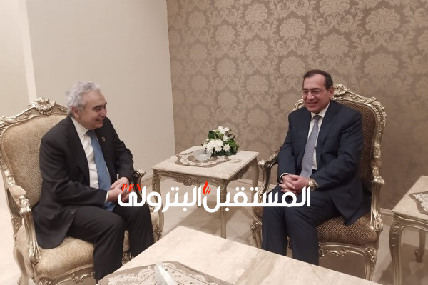 وزير البترول يبحث مع الرئيس التنفيذي لوكالة الطاقة الدولية سبل التعاون المشترك